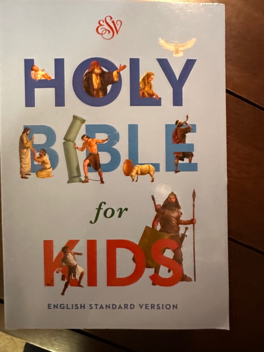 Holy Bible for Kids - Blue and Red Cover ()